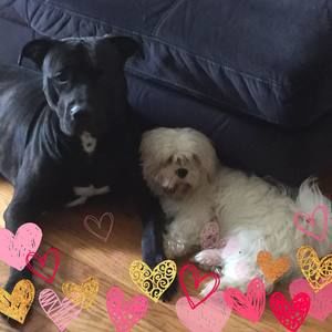 Meet your Posher, Doris